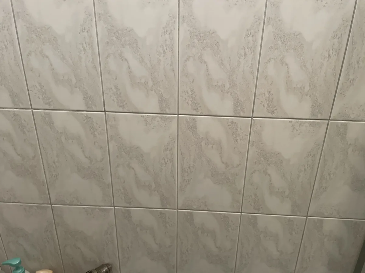 Zenith LLC home remodeling project image 66413900684__A020D482-DBBB-479B-8A3F-1EE94162D2FF
